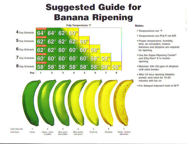 Ripening Banana Chart